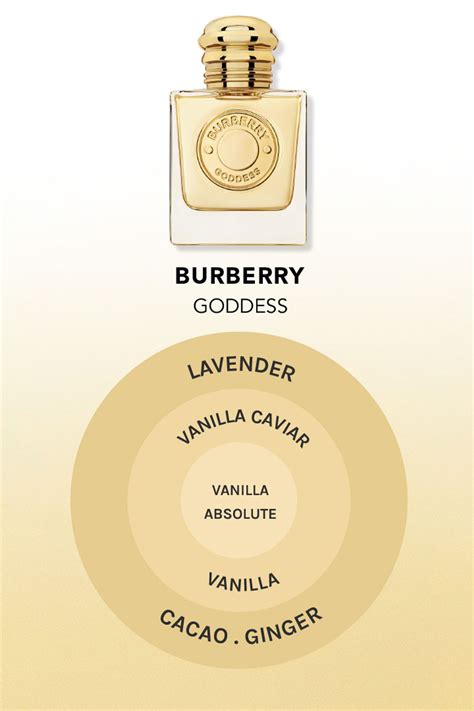 burberry by burberry perfume review|what does Burberry smell like.